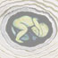 baby in womb