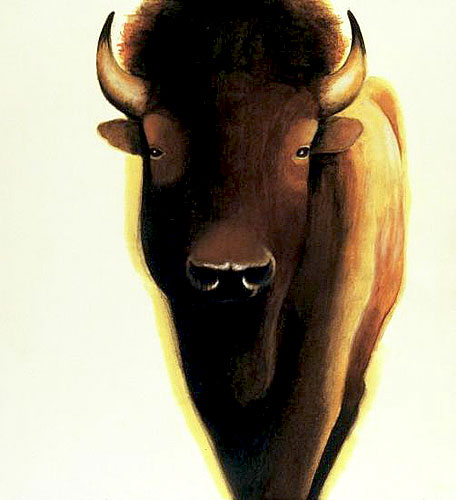 american buffalo